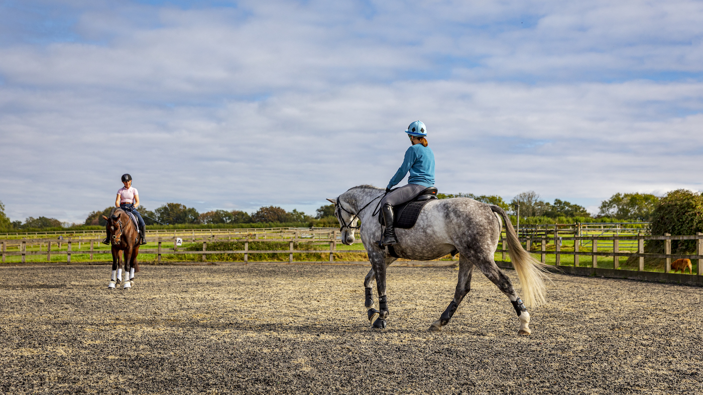 Walking practice is an important part of training for showing