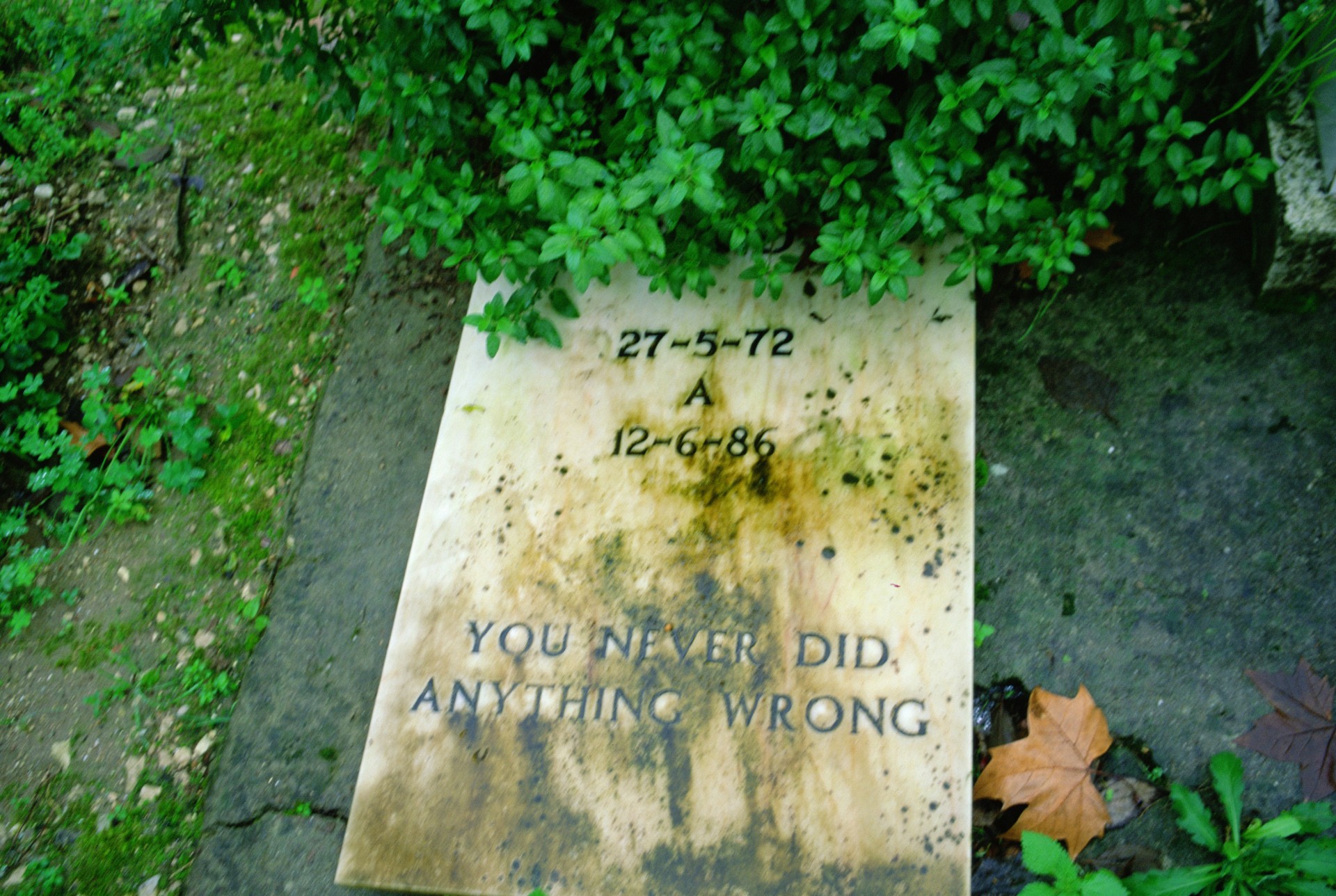 A weathered marble pet gravestone surrounded by greenery reads "YOU NEVER DID ANYTHING WRONG" with dates 27-5-72 to 12-6-86.