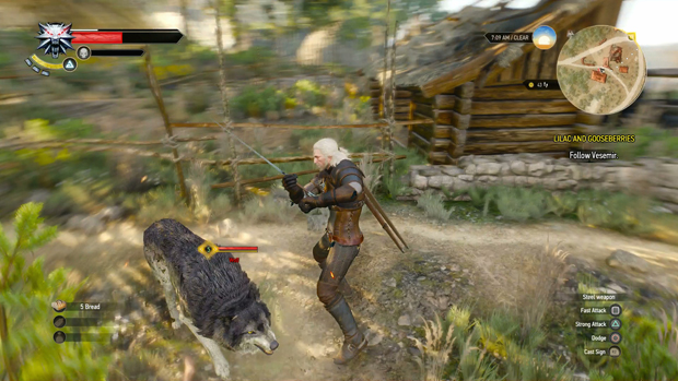 witcher 3 vitality