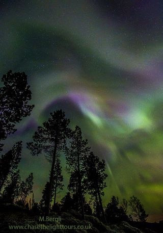 Night sky photographer and northern lights tour guide Marianne Bergli caught this image of the auroras on October 26, 2016 in Troms, Norway.