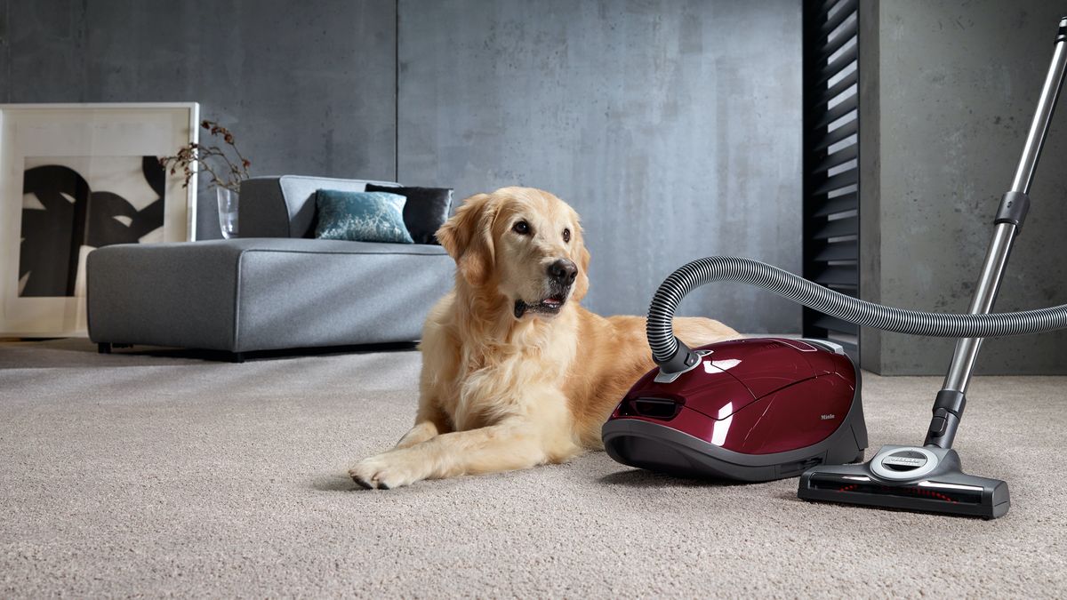 kleuring twaalf voedsel Miele Complete C3 Cat & Dog Pro PowerLine review | T3