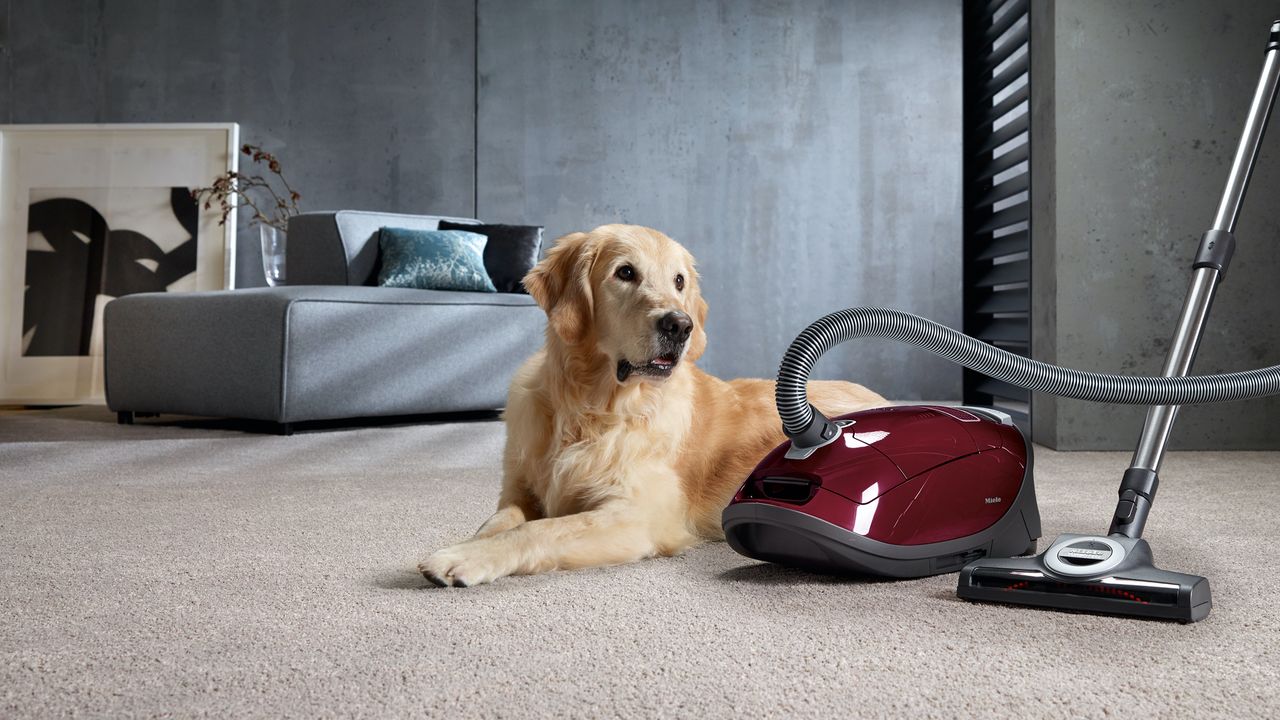 Miele Complete C3 Cat &amp; Dog review