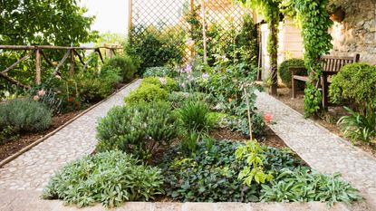 Cottage style small backyard landscaping with cobbled small paving on left and right with greenery and plants in the middle