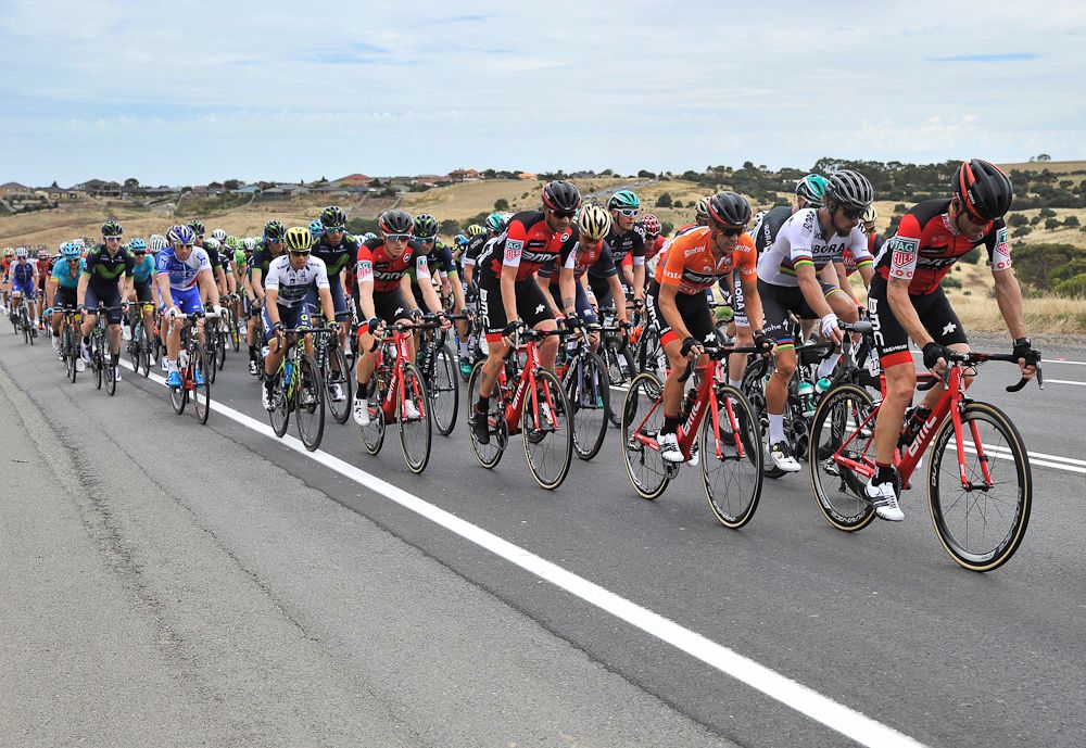 The peloton in action during stage 3 at the Tour Down Under