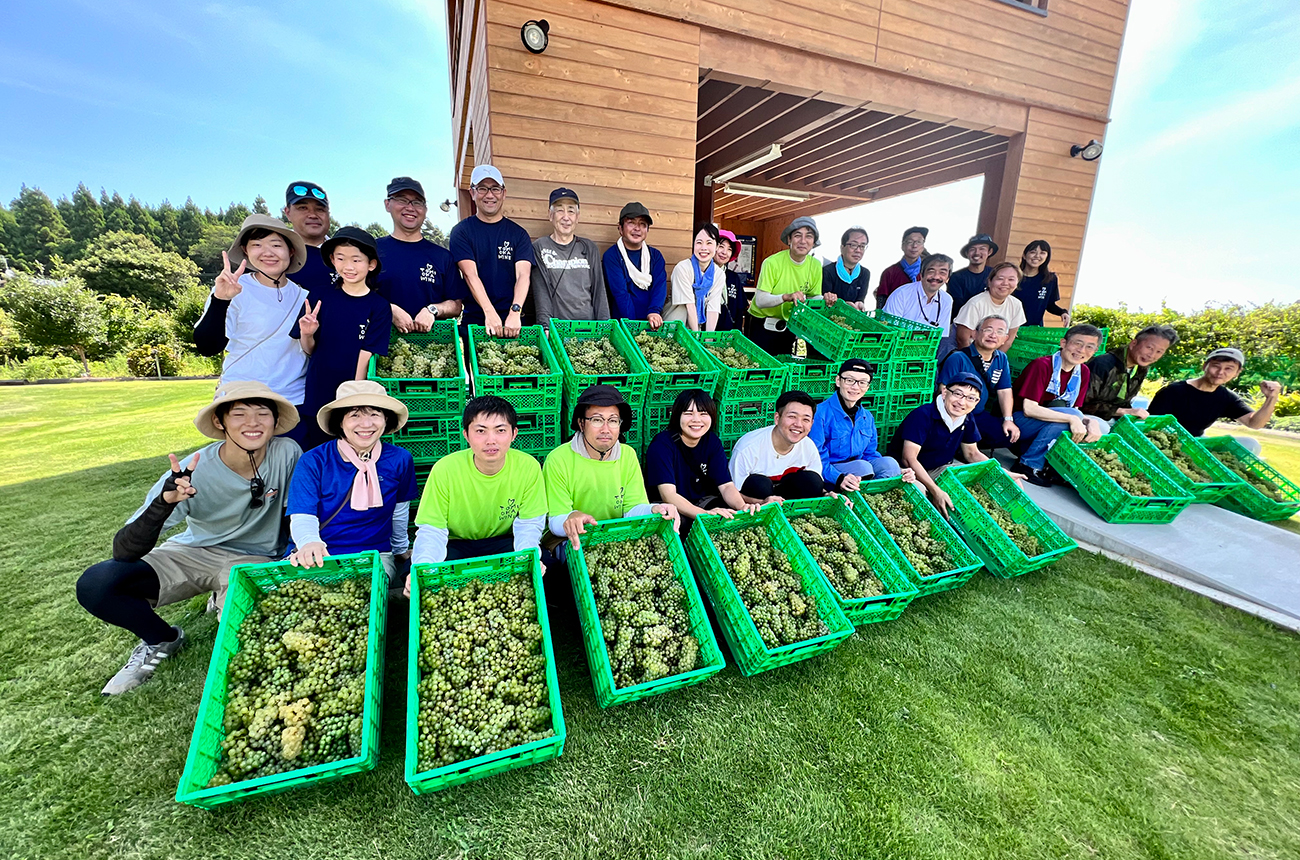 Harvest season at Tomioka Winery, Fukushima, Japan