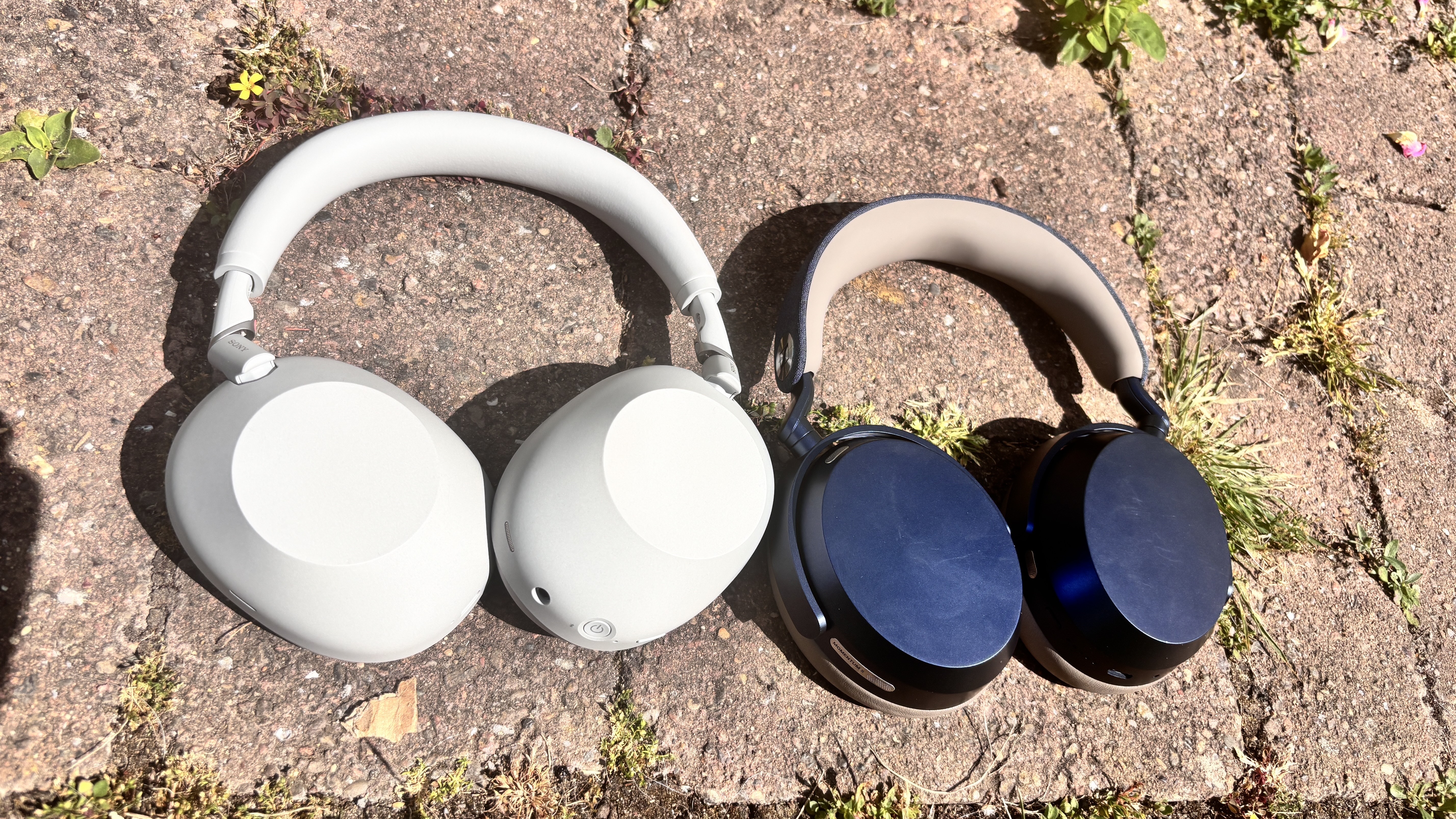 Sony WH-1000XM6 vs Sennheiser Momentum 5 Wireless