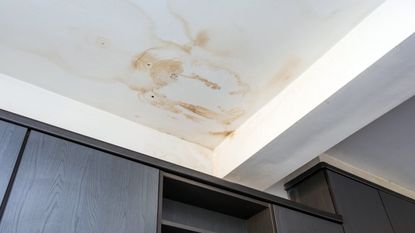 Damp stain on ceiling