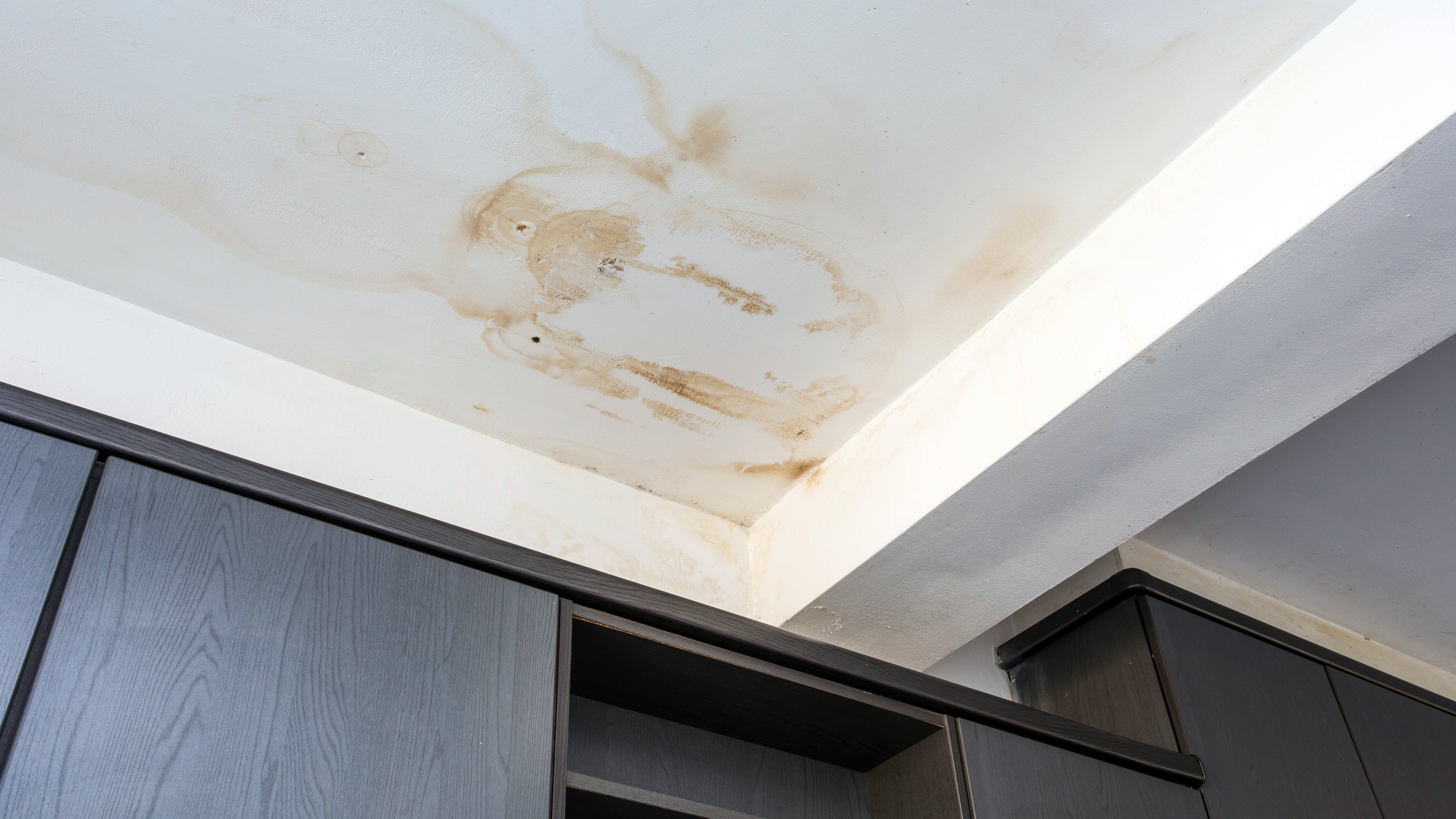 Damp stain on ceiling