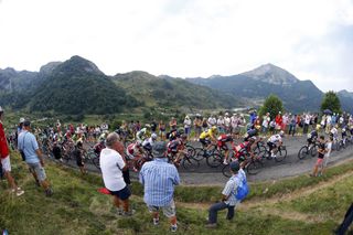 The peloton on stage 12 of the 2015 Tour de France