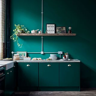 Dark green kitchen walls and cabinetry