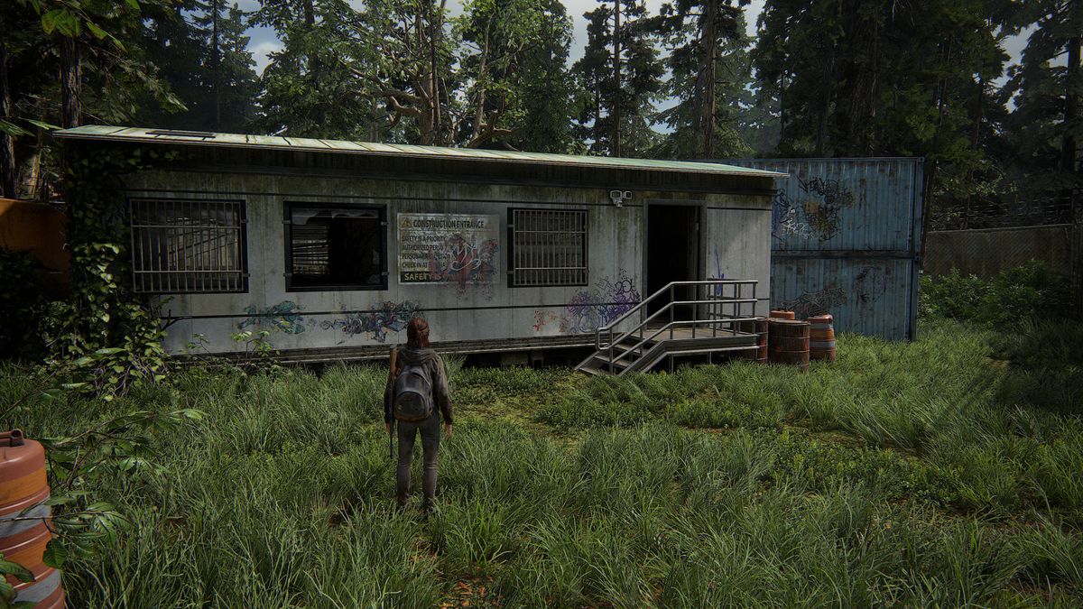 Screenshots from the PC version of The Last of Us Part 2 Remastered, using the game's photo mode