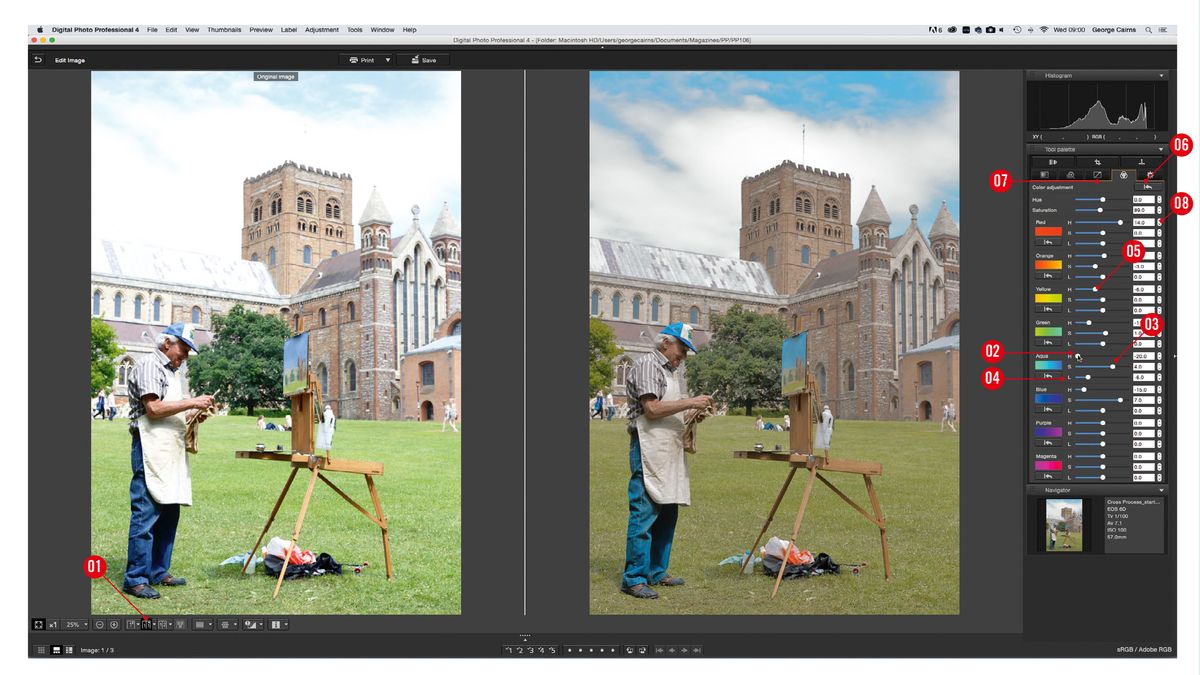 how to update canon digital photo professional software