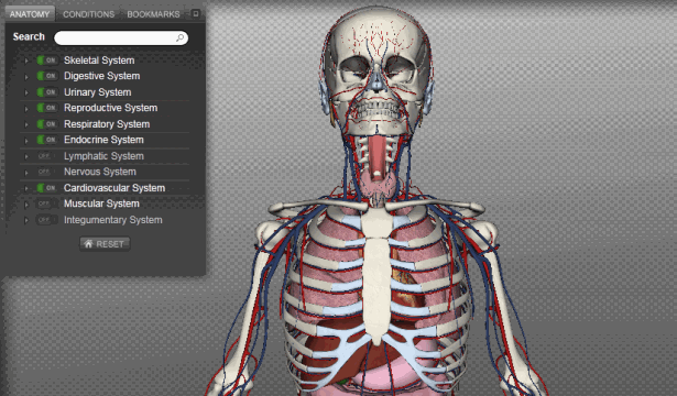 WebGL sites: Biodigital Human