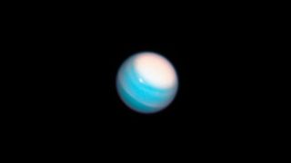 Uranus is bright, blue and cloudy in this Hubble Space Telescope image