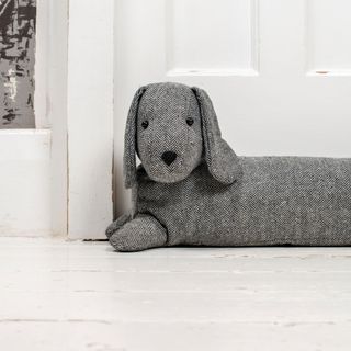 dog cushion near white door