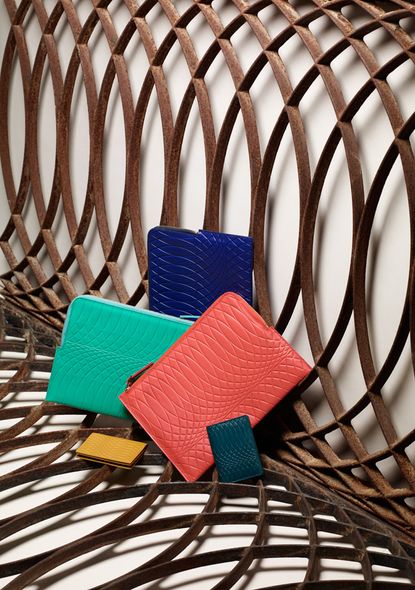 Bold coloured leather cases and purses