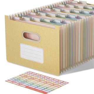 Amazon Accordion file organizer, bill and receipt holder, pale yellow