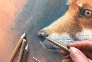 how to draw a fox - image of a fox in pastels