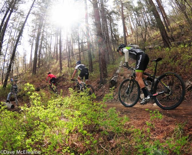 Riders climbing switchbacks in the forest