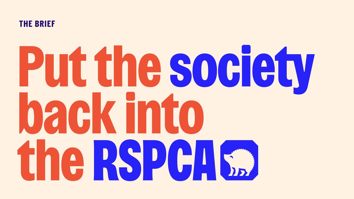 RSPCA by Jones Knowles Ritchie