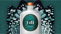 Edi - Spirited Euphoria