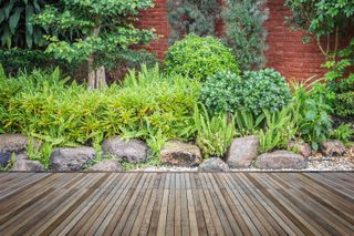 garden landscaping with planting