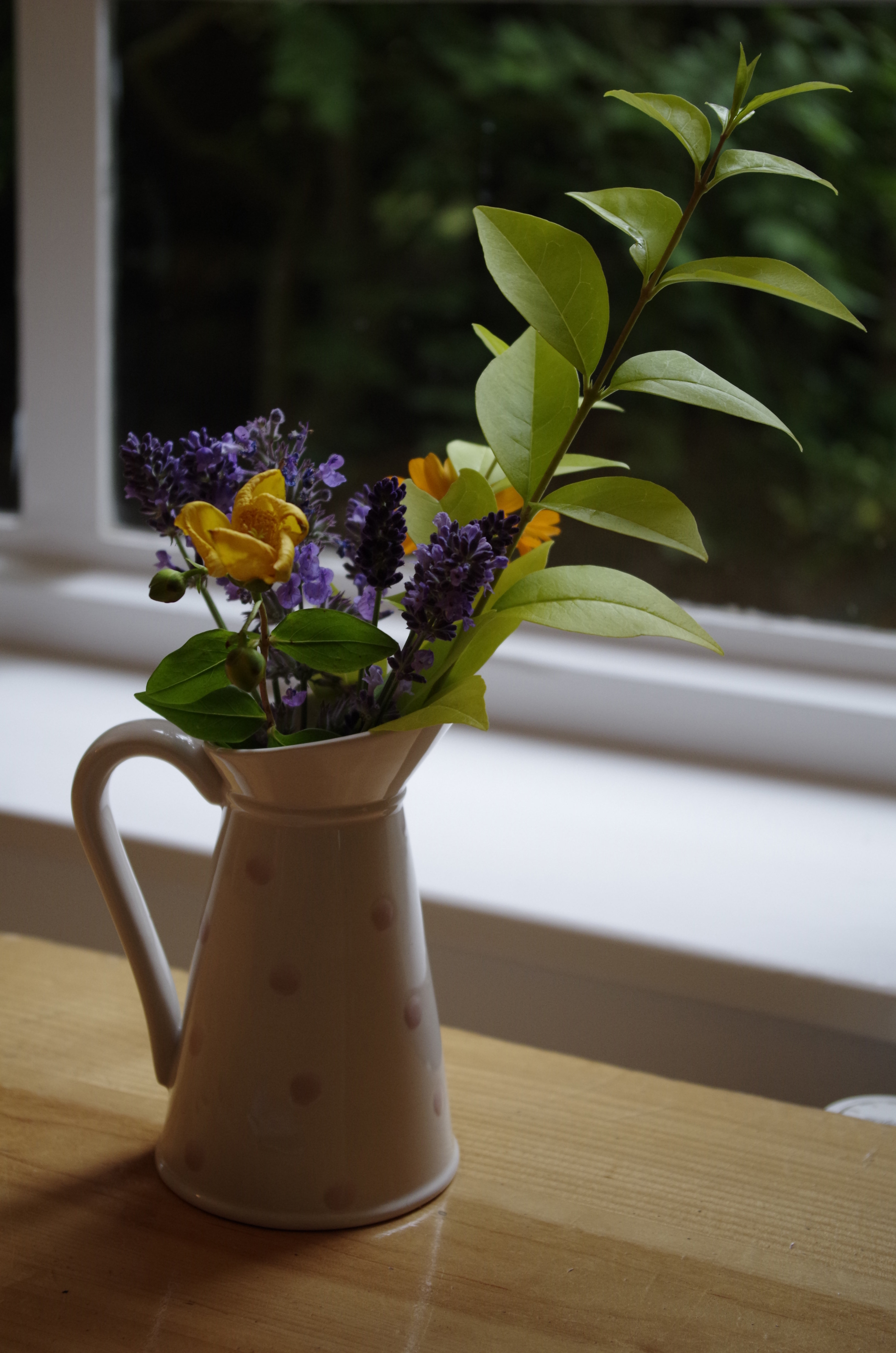 Pentax K-30 review