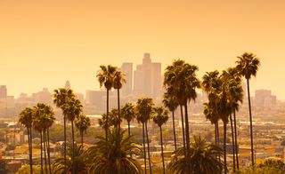 LA is home to a number of prestigious design schools