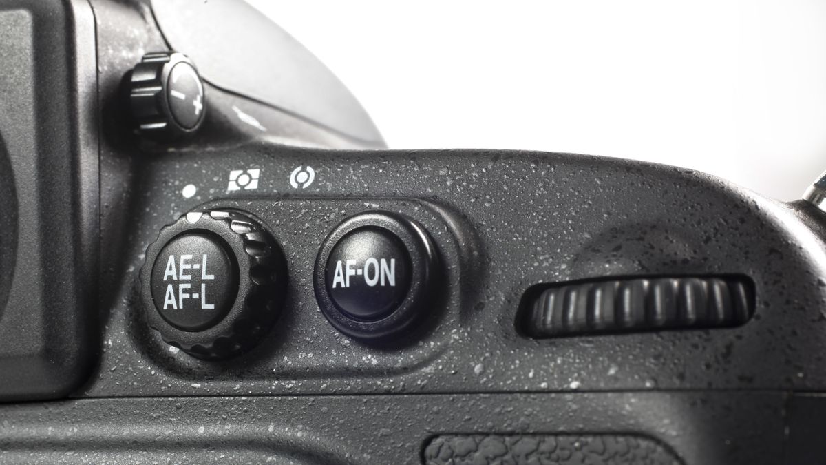 Performance - Nikon D800 review - Page 3 | TechRadar
