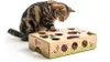 Cat Amazing Interactive Treat Maze