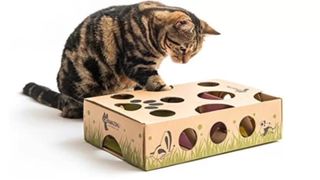 Cat Amazing Interactive Treat Maze puzzle toy