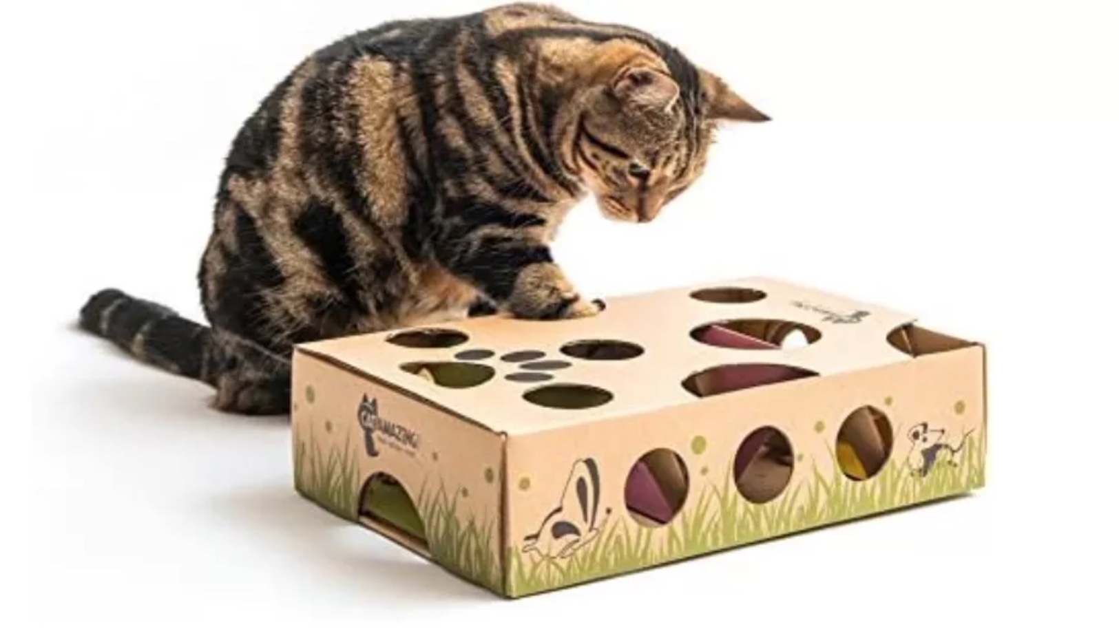 Best cat puzzle feeder 2024 for making mealtimes enriching PetsRadar