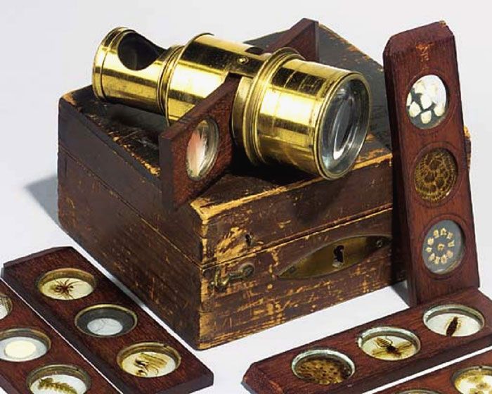 Nature Under Glass Gallery of Victorian Microscope Slides Live Science