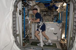 Astronaut Don Pettit on a Treadmill