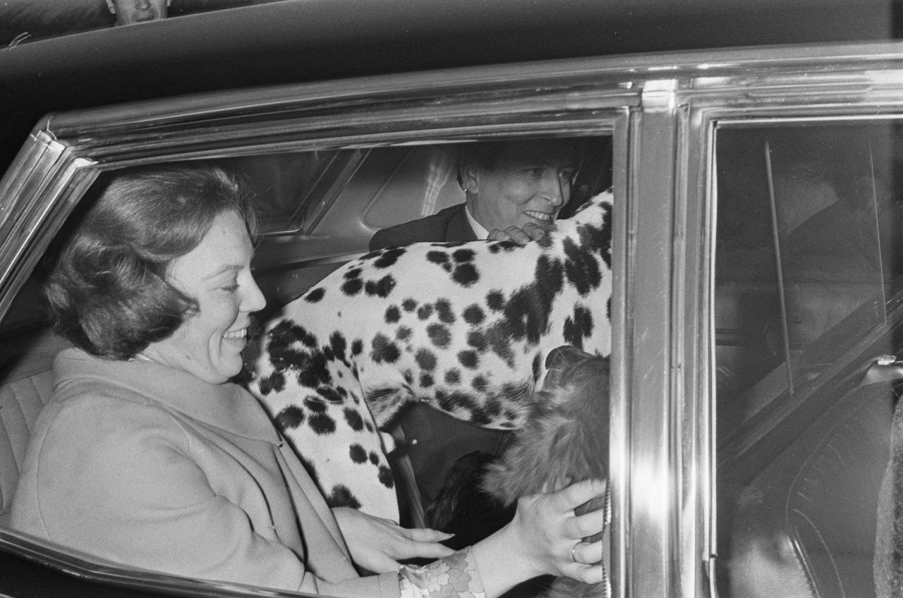 A black-and-white photograph of a man and woman sitting in the back of a car with a dalmatian standing between them, its spotted coat filling much of the frame