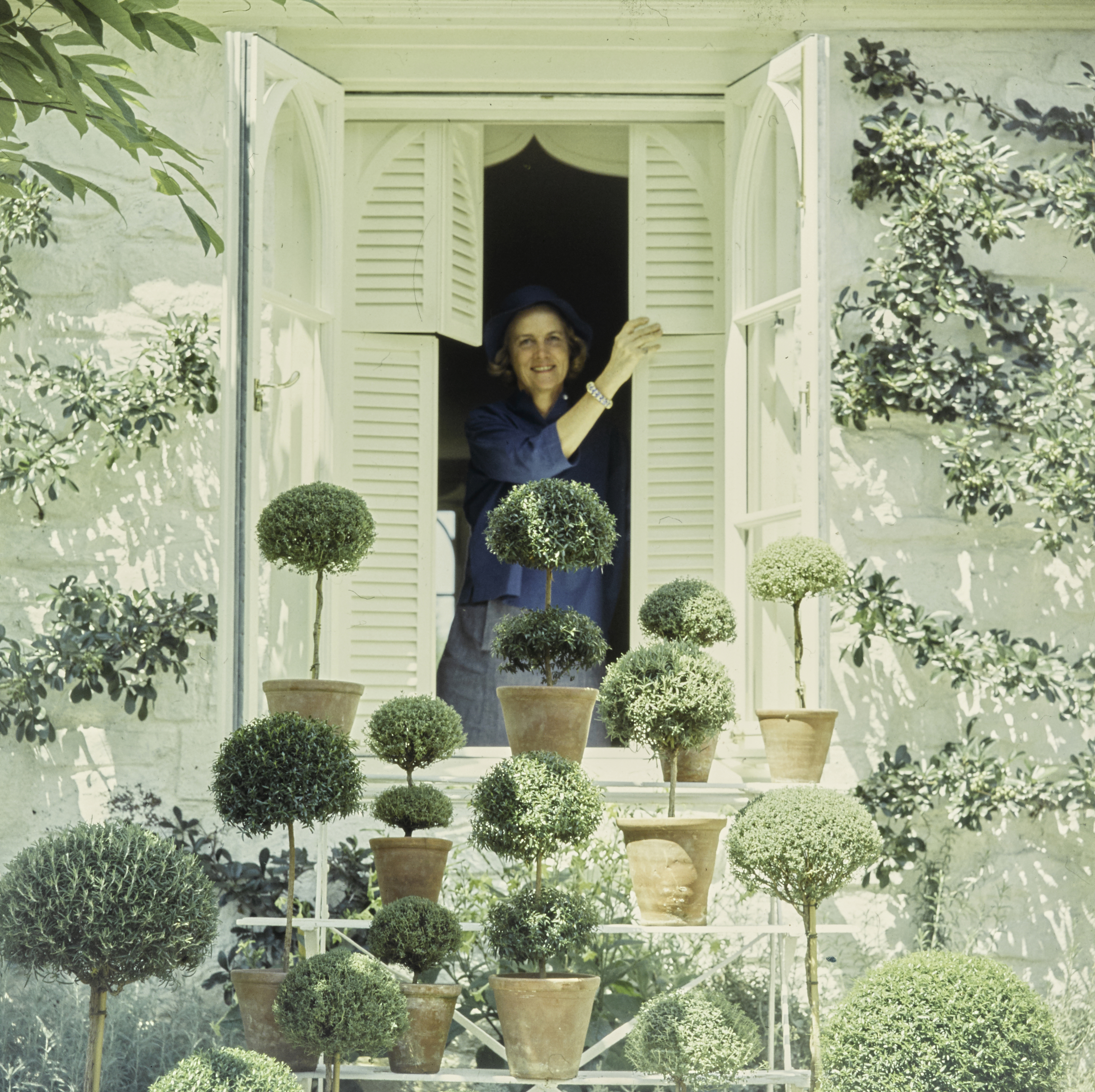 Bunny Mellon peering through white shutters at home in Virginia