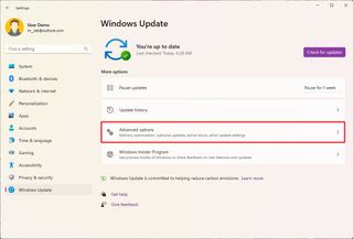 Windows 11 update advanced options