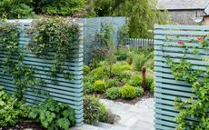tall pale blue painted garden fence