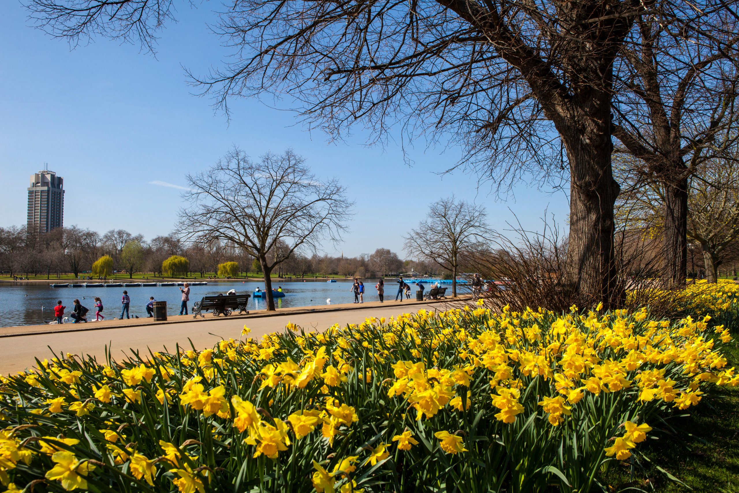 A beautiful view of Hyde Park in London at springtime.