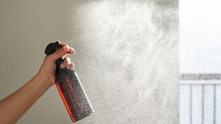 picture of woman spraying water solution into the air in her home