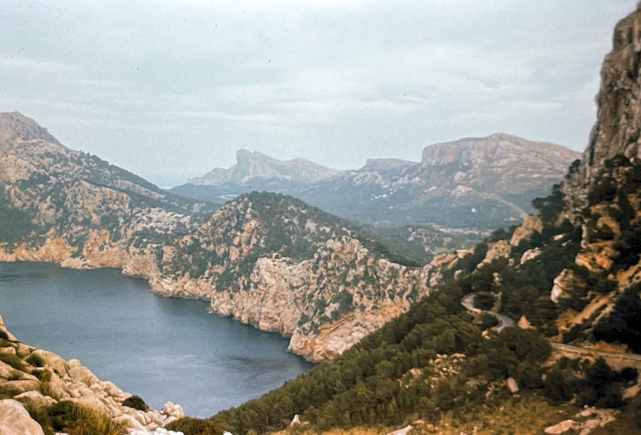 Test scans with the Rybozen Portable Slide Scanner