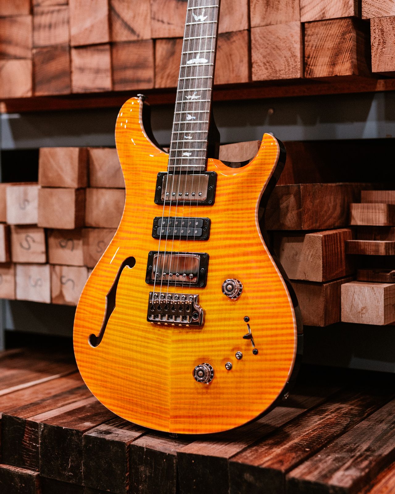 PRS's new PRS Private Stock Special Semi-Hollow guitar