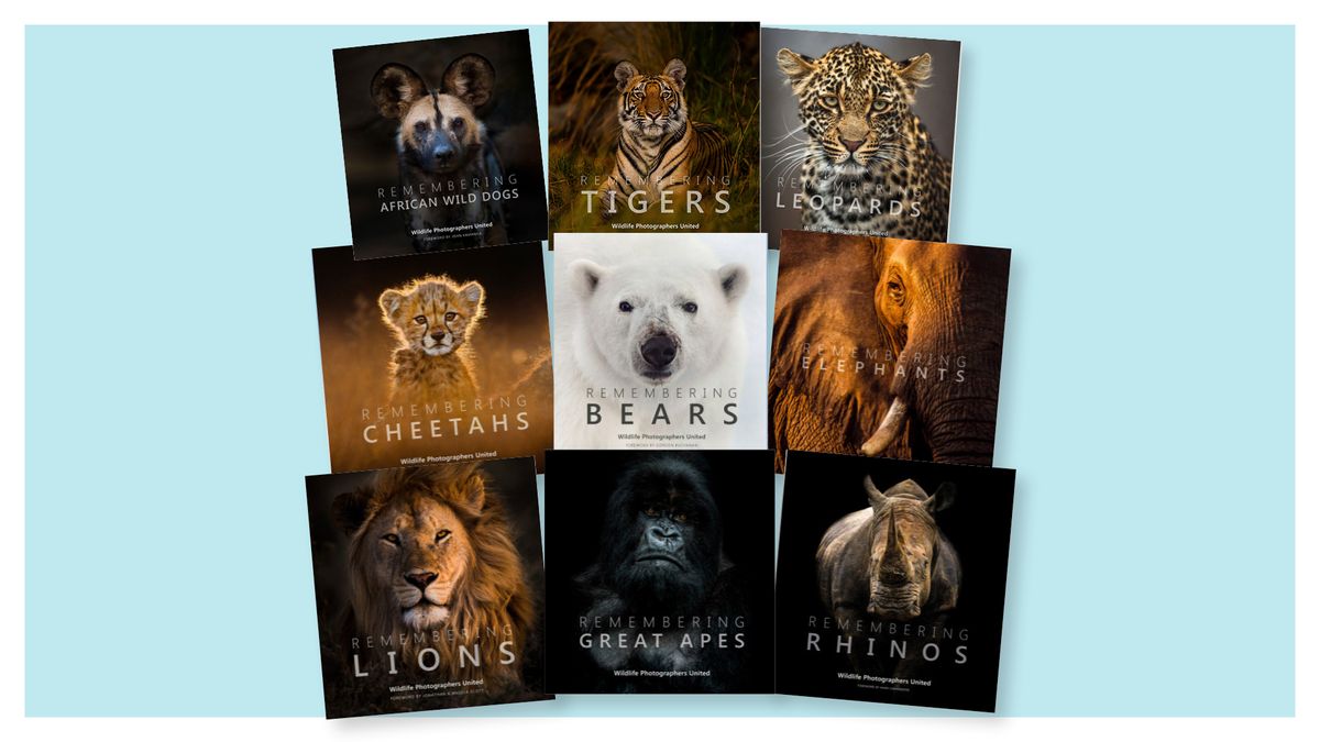 Photo montage of the front covers of the nine books in the Remembering Wildlife conservation series: https://buyrememberingwildlife.com/