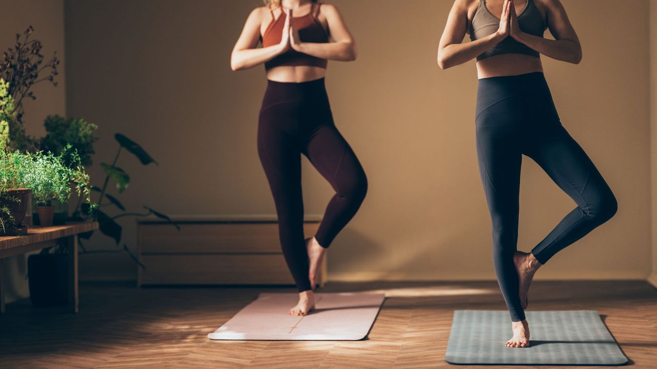 Two women trying unilateral exercises on a workout mat in a studio