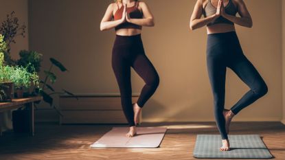 Two women trying unilateral exercises on a workout mat in a studio