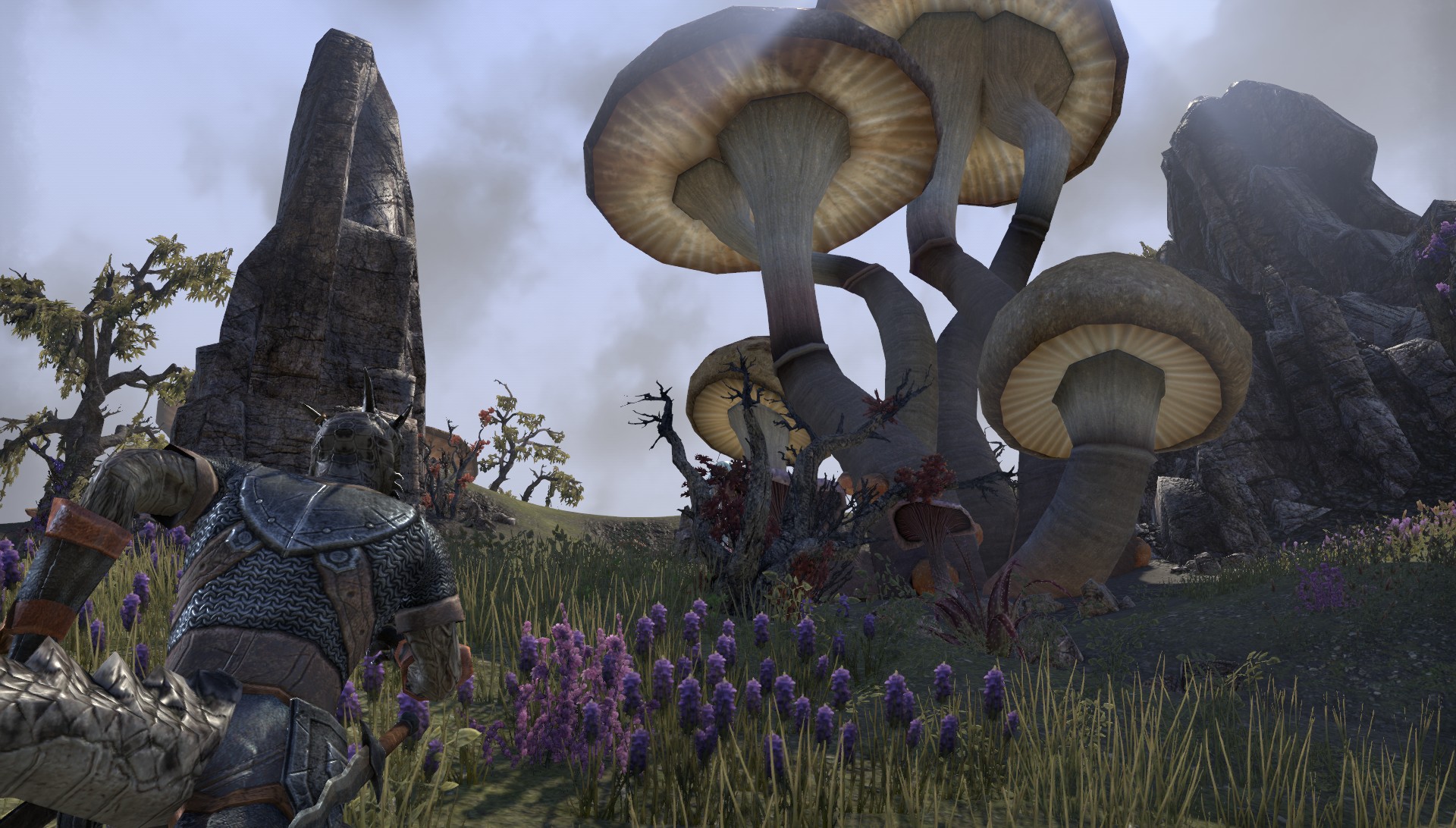 TESO-Intro