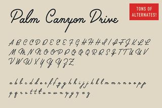 Palm Canyon Drive font