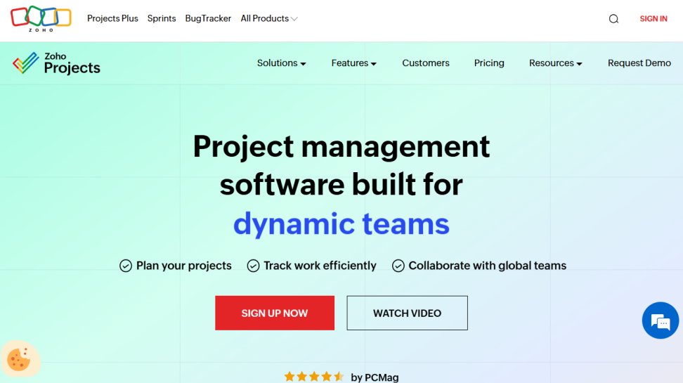 Zoho Projects website screenshot (June 2025).