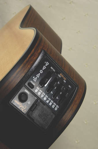 The CT4BII preamp provides only the most useable of tones