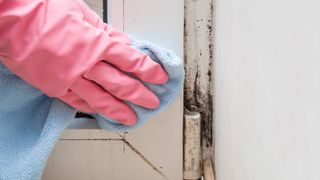 Mold in the window corner. Hand in rubber protective glove with microfiber cloth trying remove it.